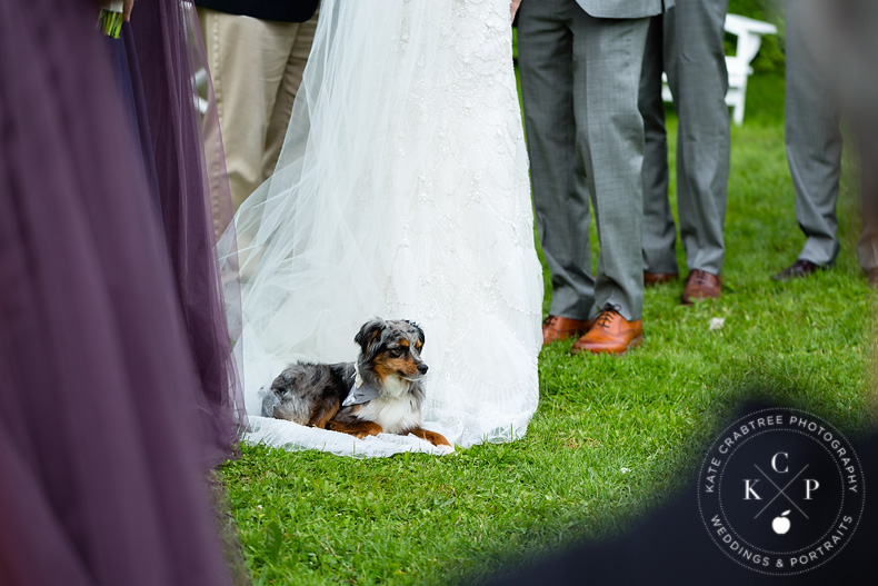 maine-wedding-photojournalist-ar (1)