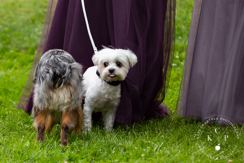 north-haven-island-maine-wedding-ar (2)