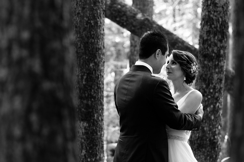 acadia-national-park-wedding-portraits-rt (3)