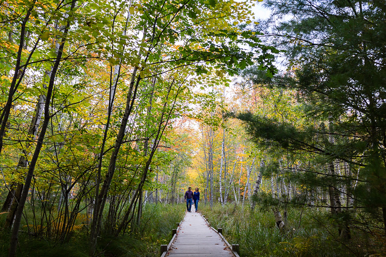 Engagement portraits on the Jesup Path in Acadia National Park
