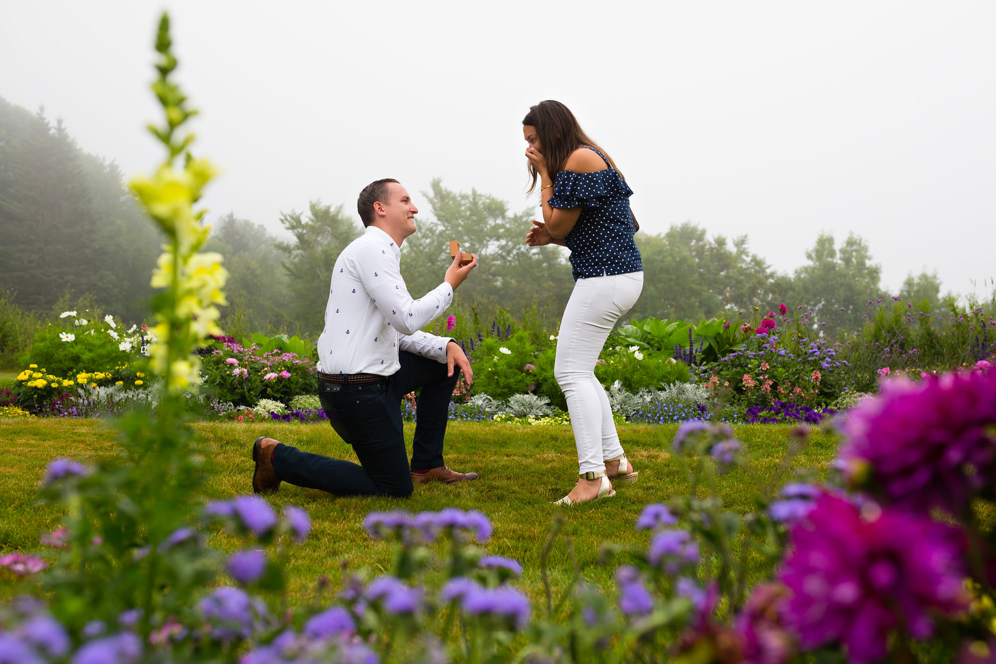 A man proposes to a woman in the garden at the Asticou Inn in Northeast Harbor, Maine