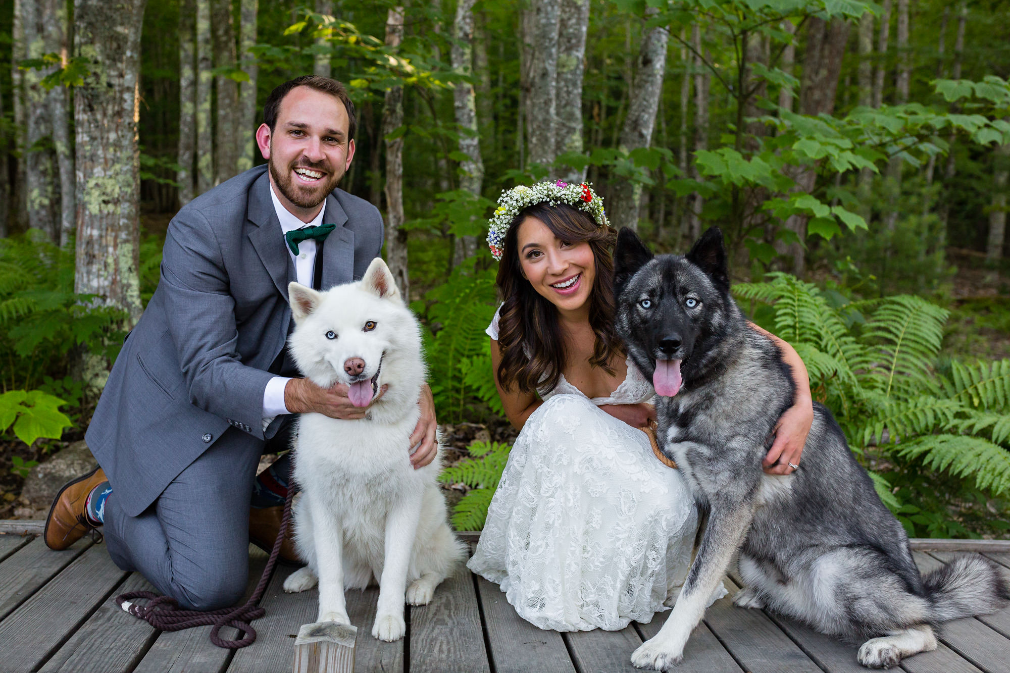 A bride and groom elope in Acadia National Park with their huskies