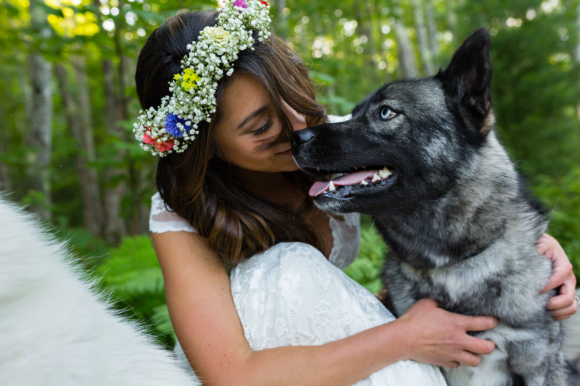 A bride cuddles with her husky on Jessup Path