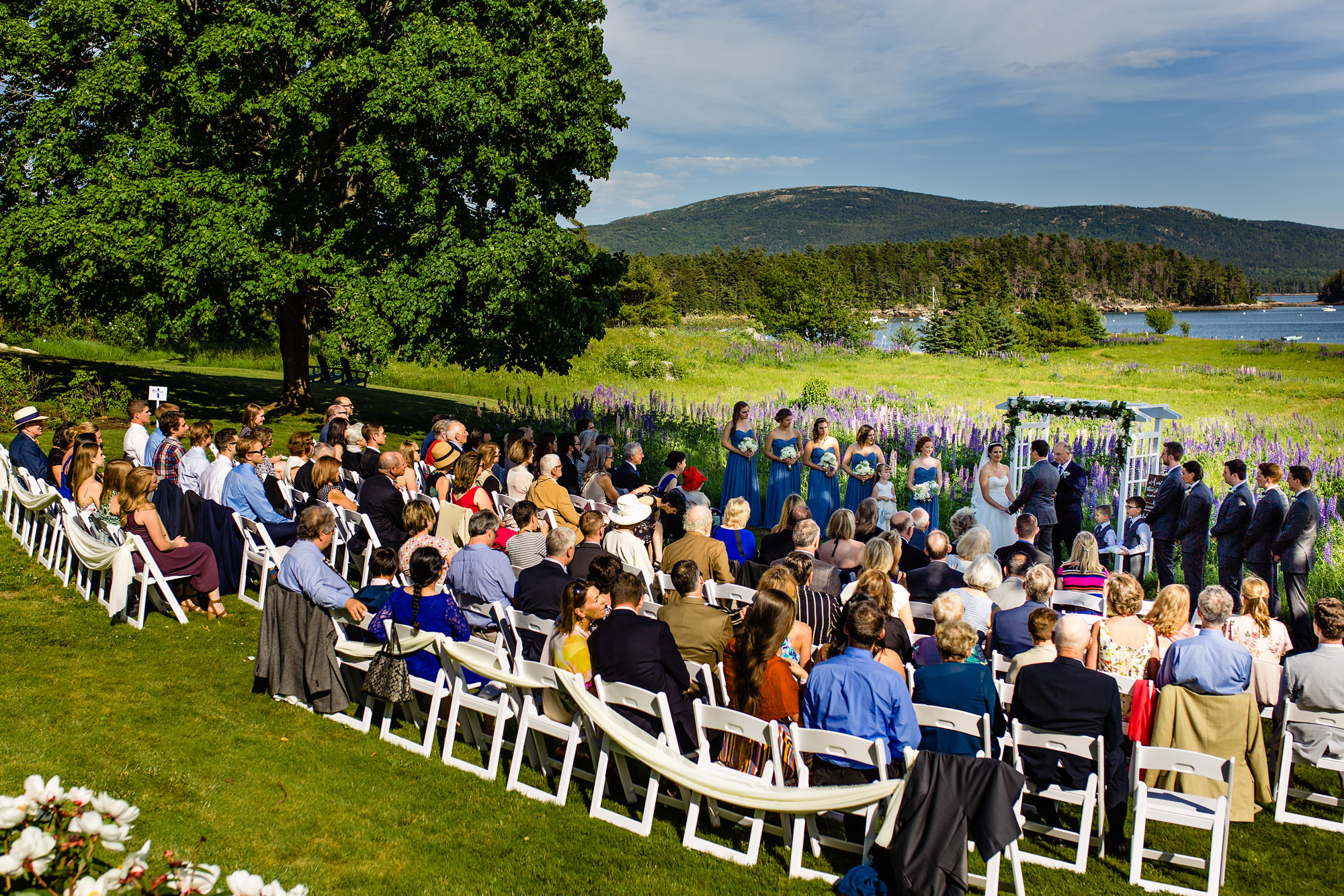 A beautiful Maine wedding among lupines