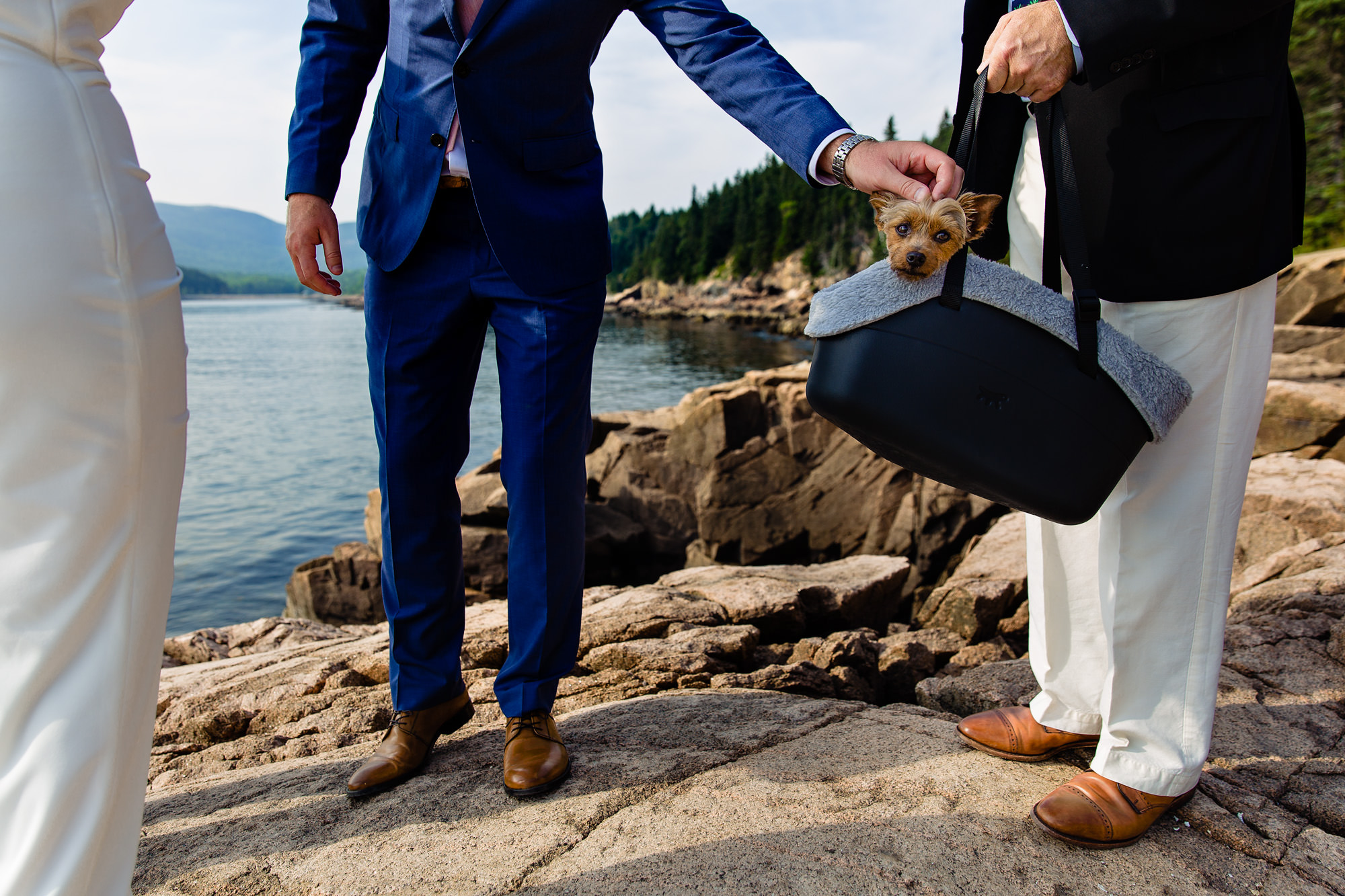 An elopement ceremony at Otter Point in Acadia National Park