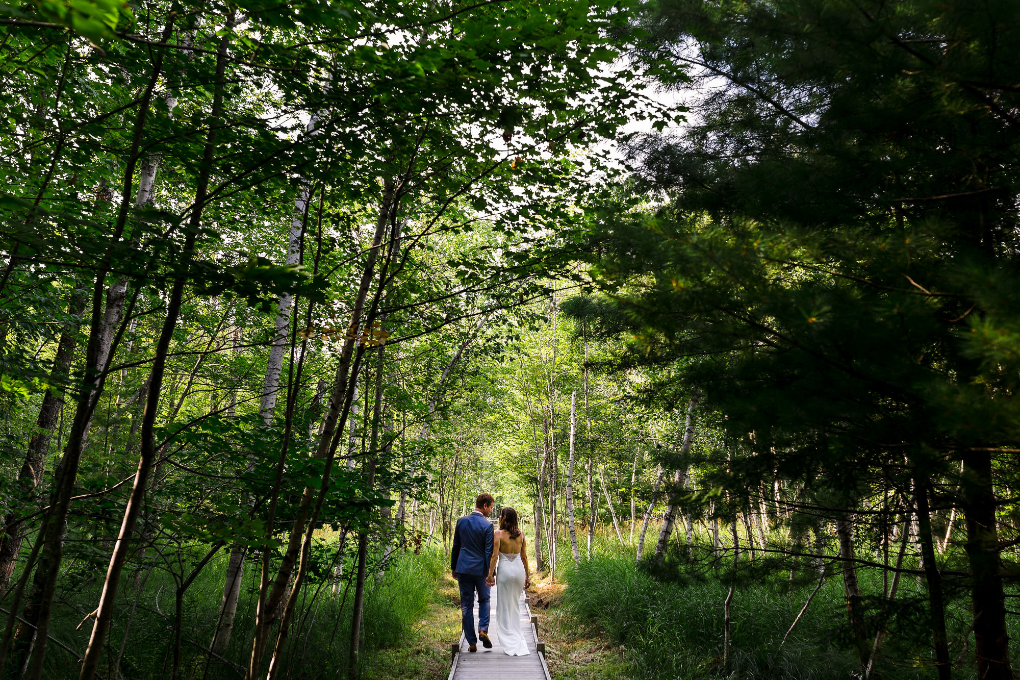 Photos of an elopement at the Jessup Path in Acadia National Park