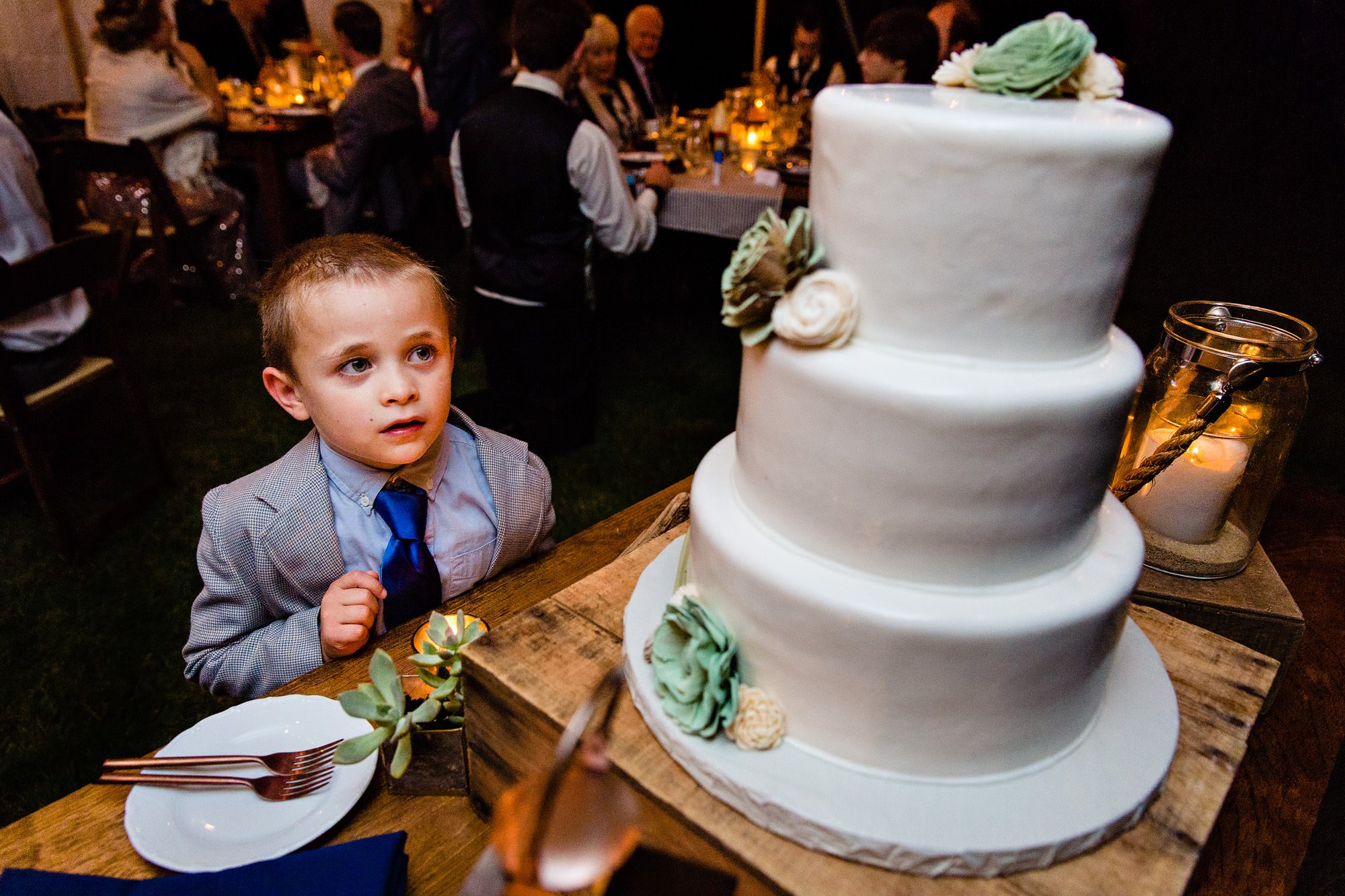 The ring bearer stares at the wedding cake in Maine