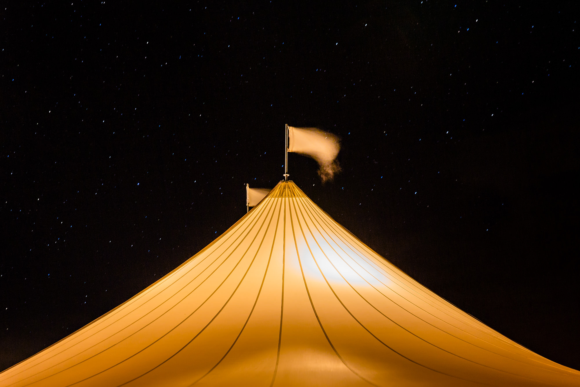 Starry sky at a French's Point Wedding