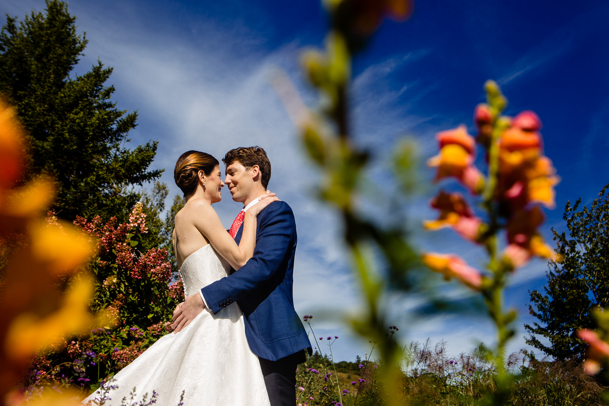Bride and groom portraits in a garden at a Blue Hill Maine wedding