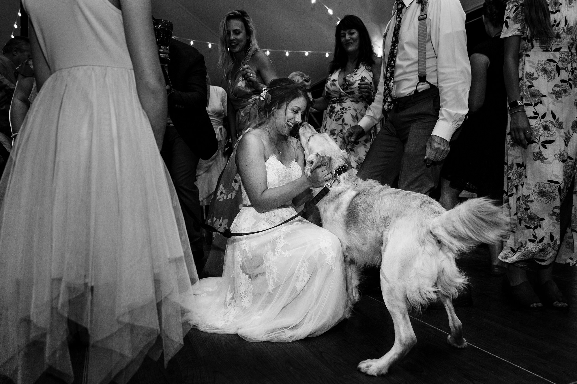 The bride kisses her dog during her Maine wedding reception