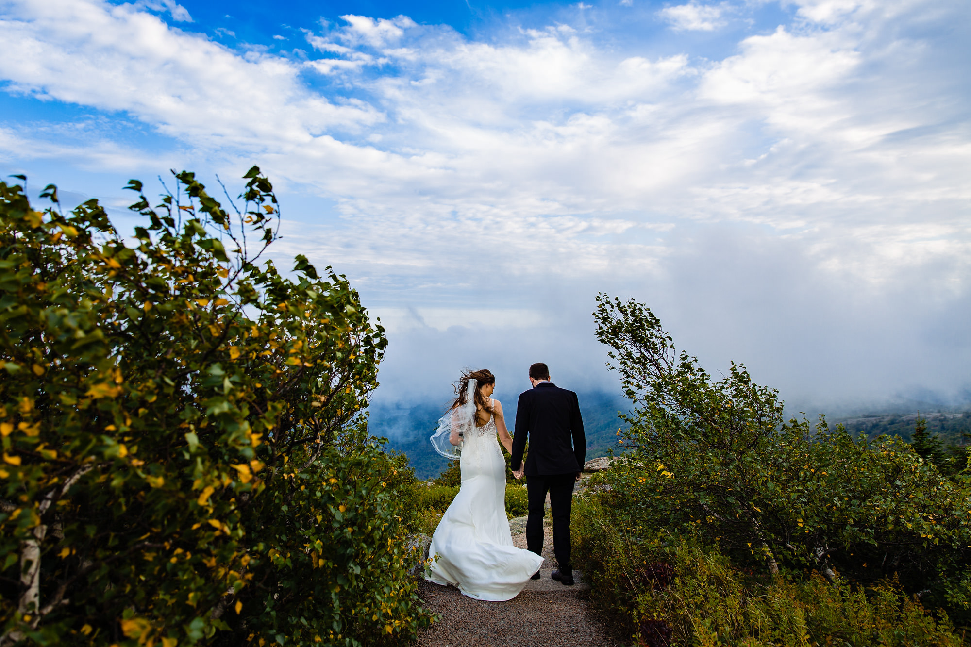 Windy wedding portraits on the top of Cadillac Mountain