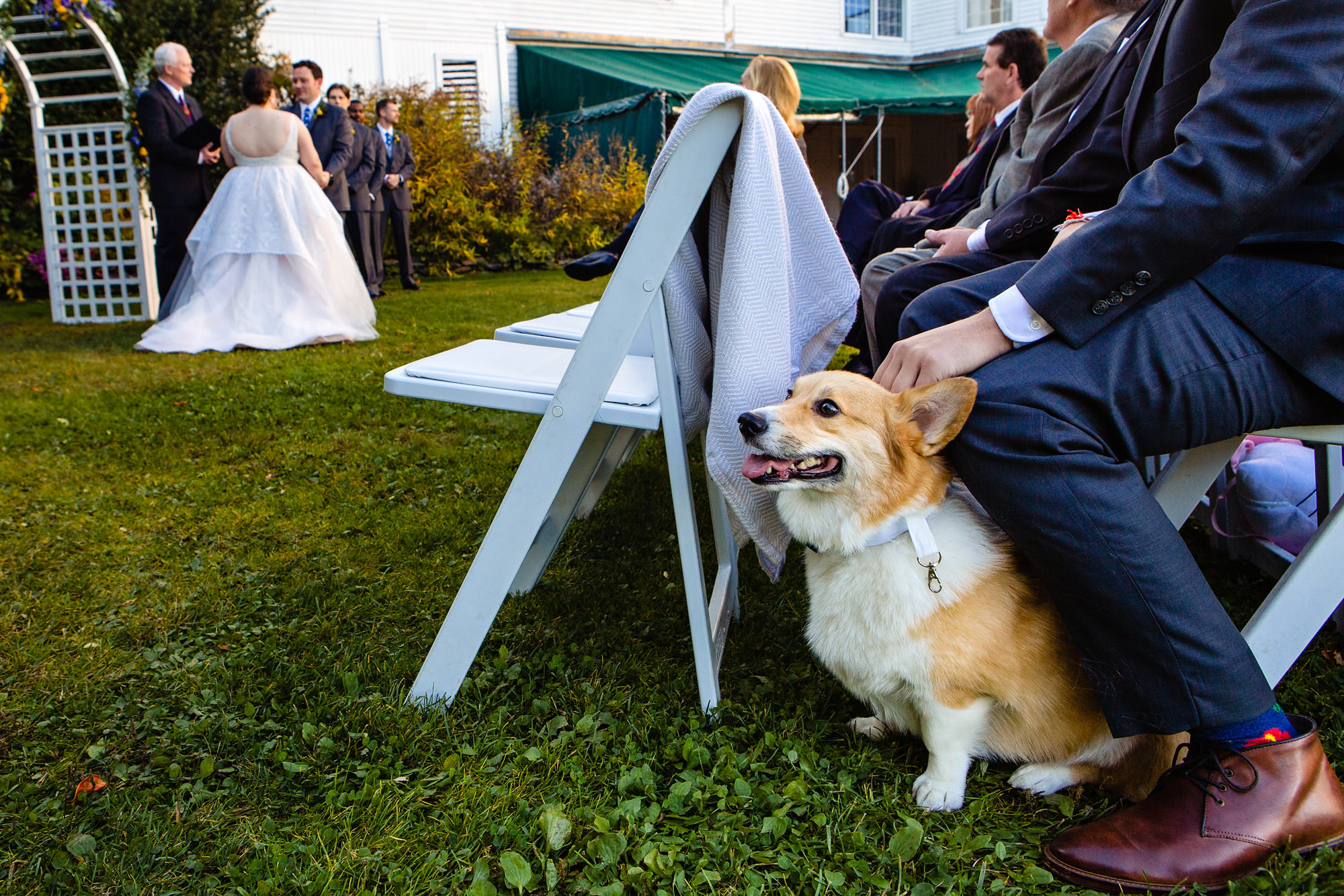The couple's dog watches on at their Freeport Maine wedding