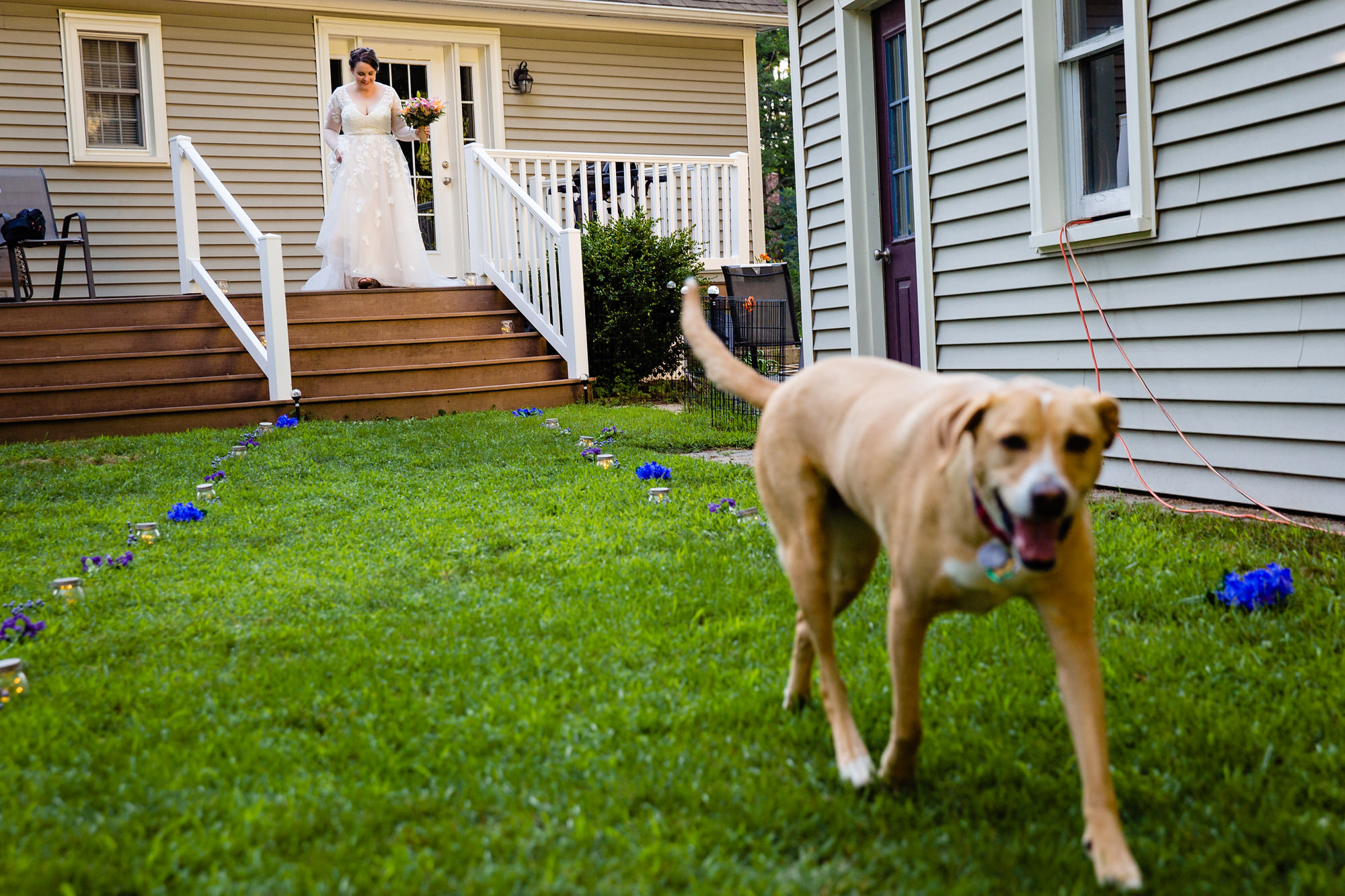 A bride walks down her steps to her Maine backyard elopement