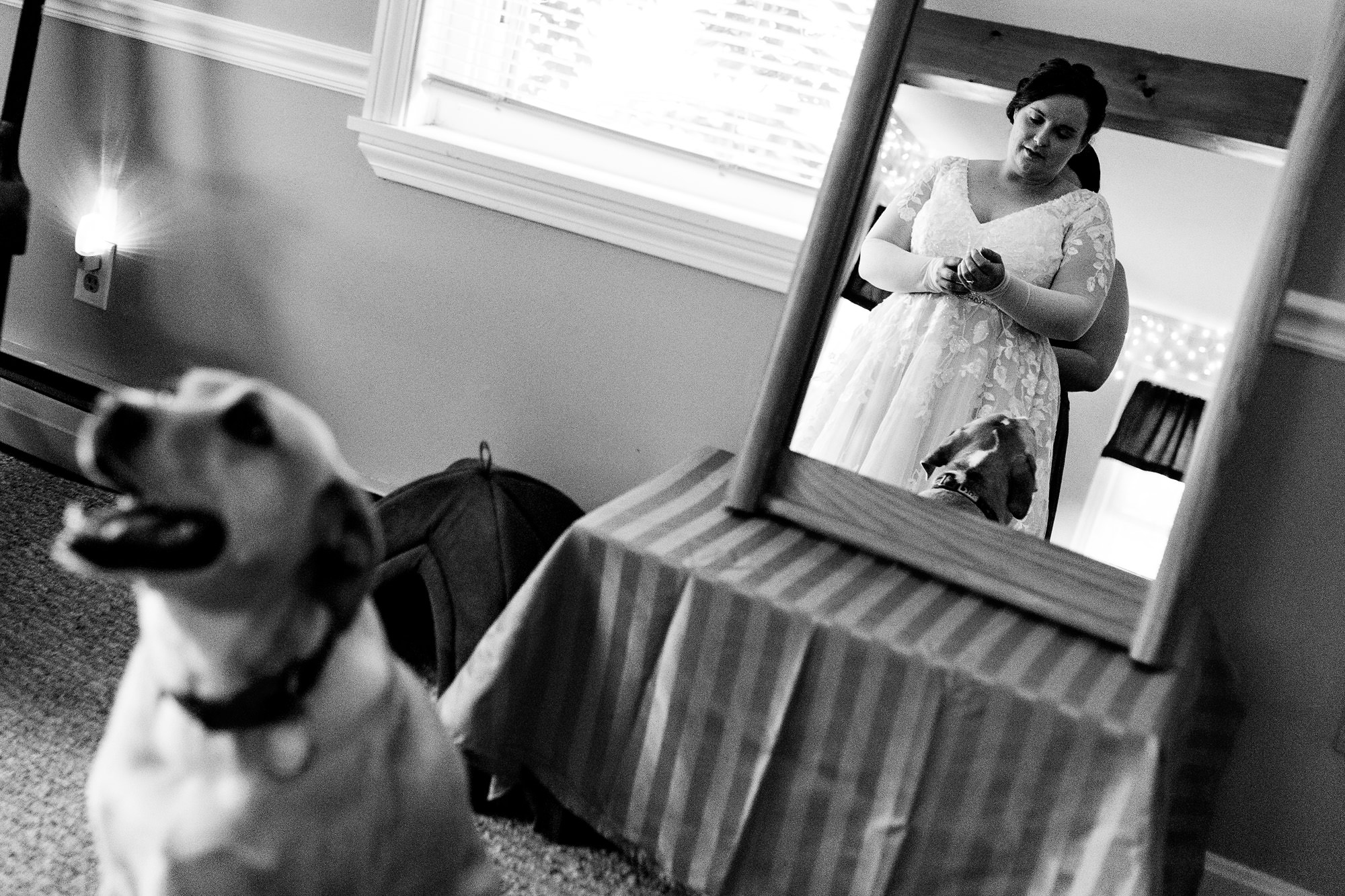 A bride puts on her wedding dress while her dog watches on at her Brunswick Maine elopement