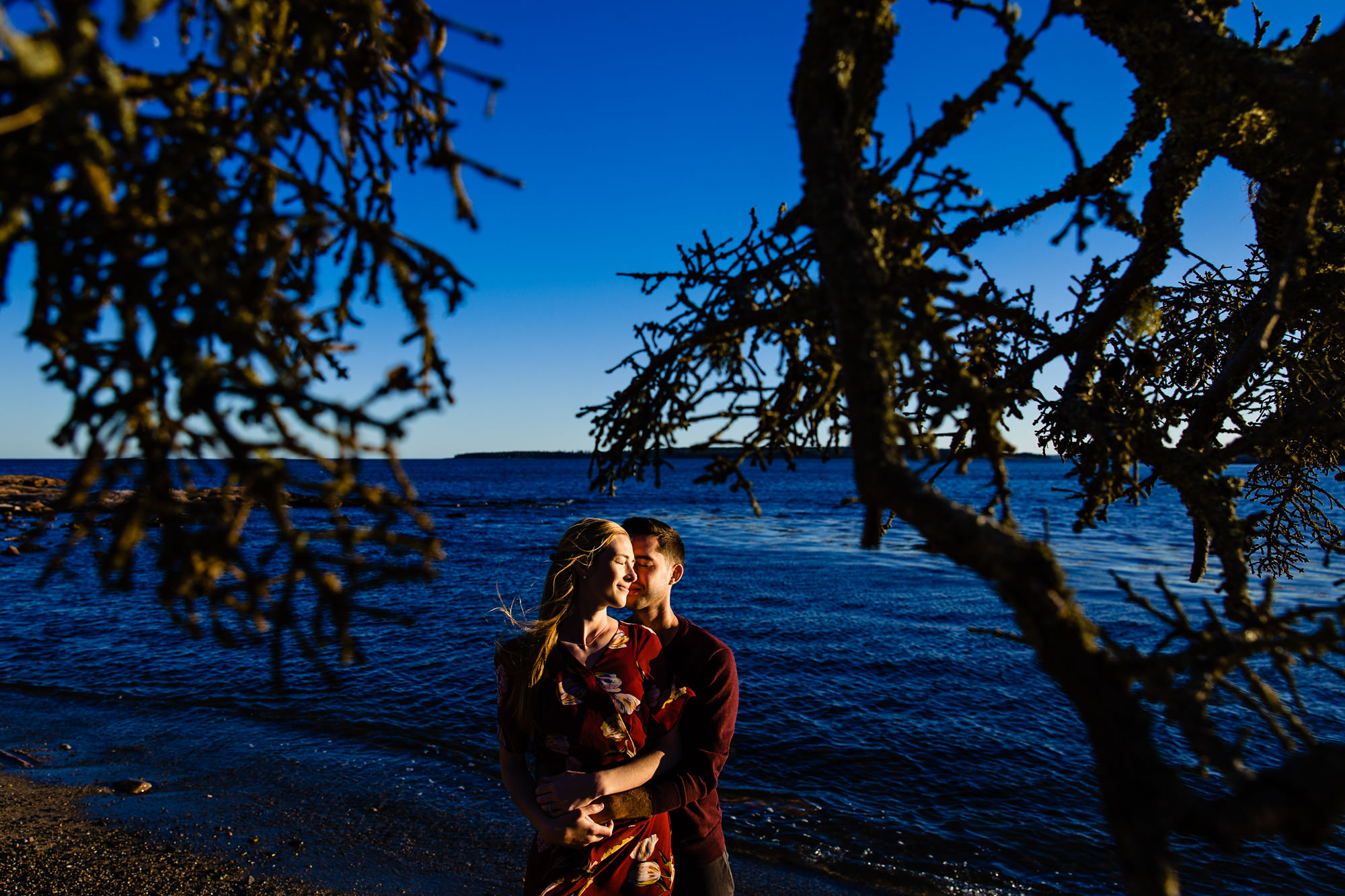 Engagement portraits on Wonderland Trail in Acadia