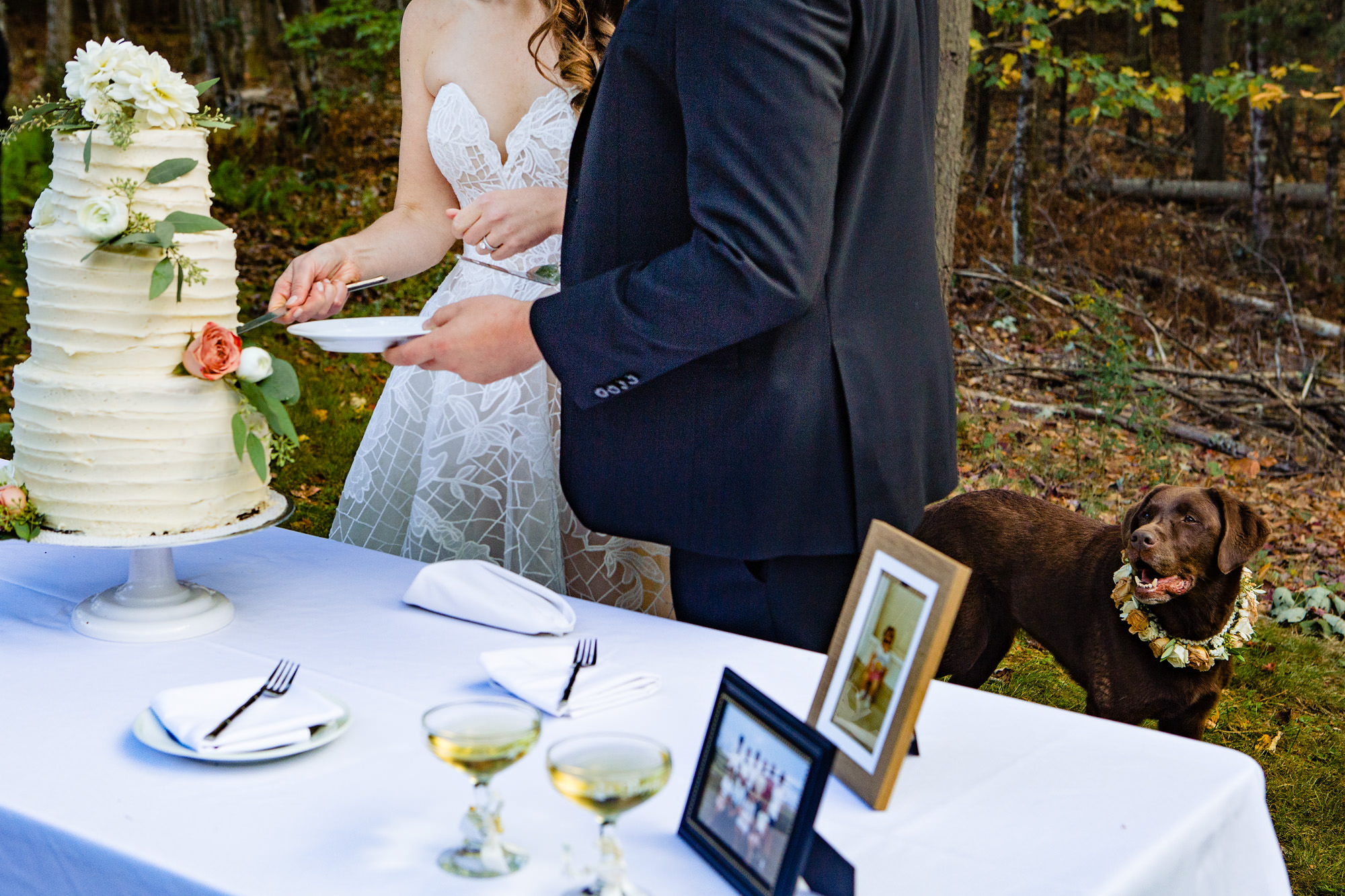 A backyard wedding reception in southern Maine