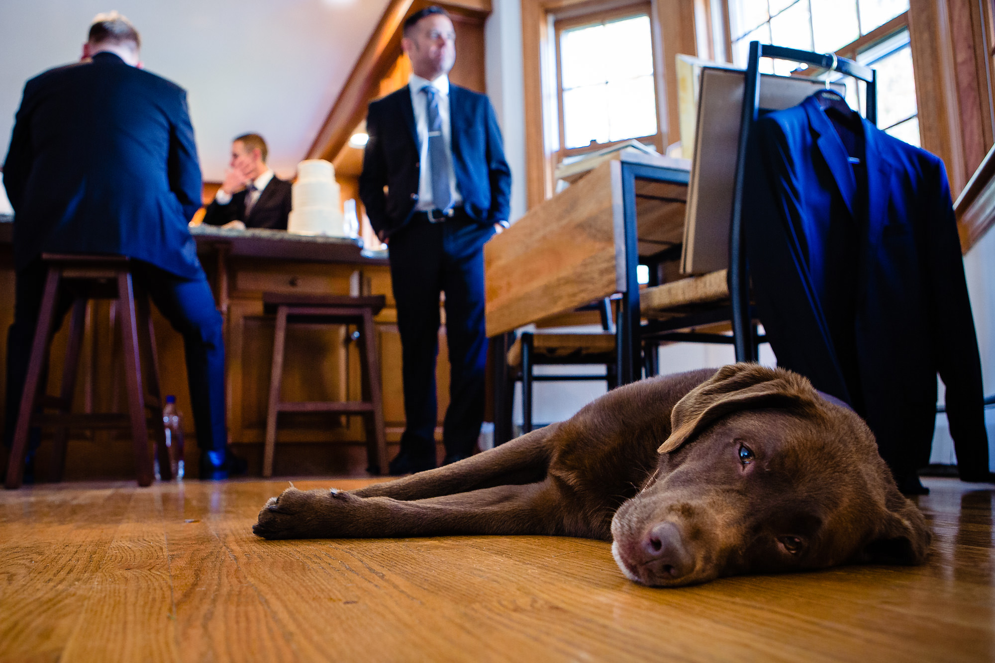 The groom gets ready with his groomsmen and his dog.