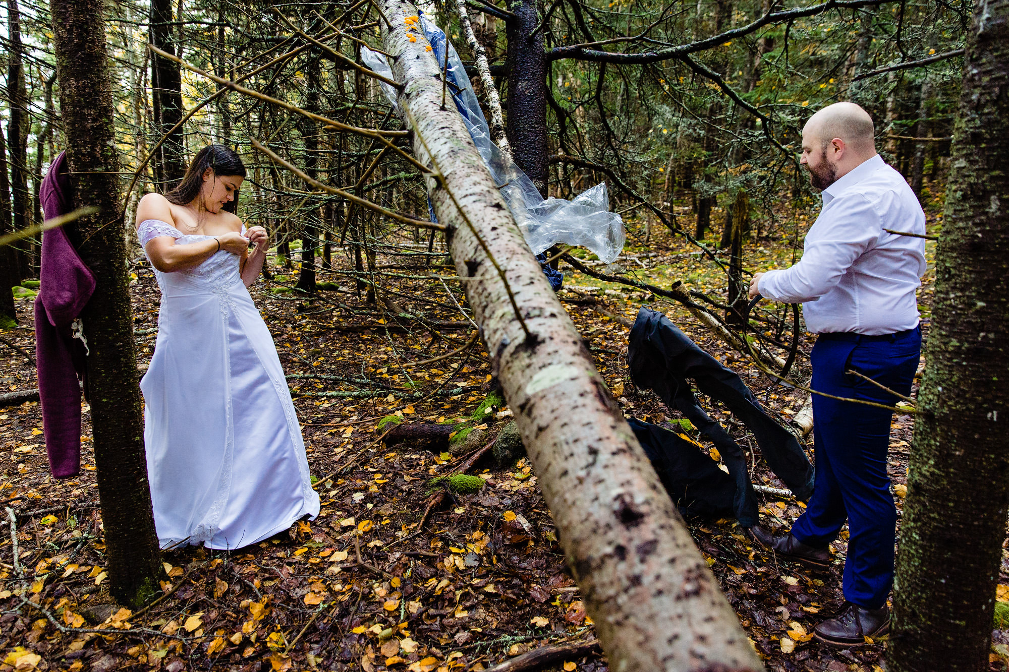 A bride and groom get dressed in the woods for their elopement at Acadia National Park