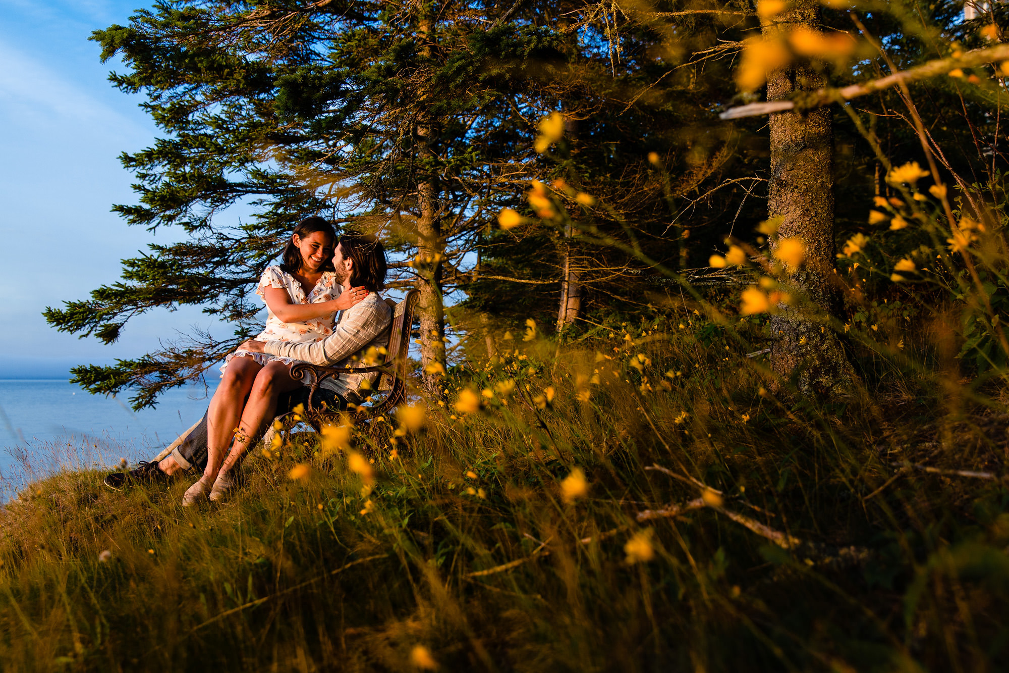 Acadia National Park Engagement Portraits