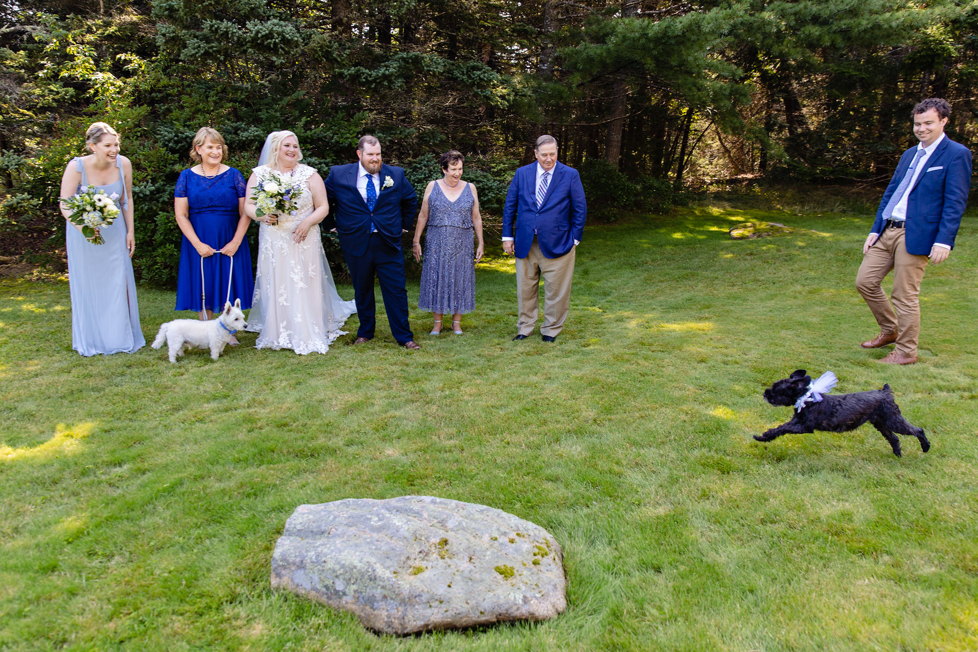 A pup interrupts portraits at an intimate wedding on MDI