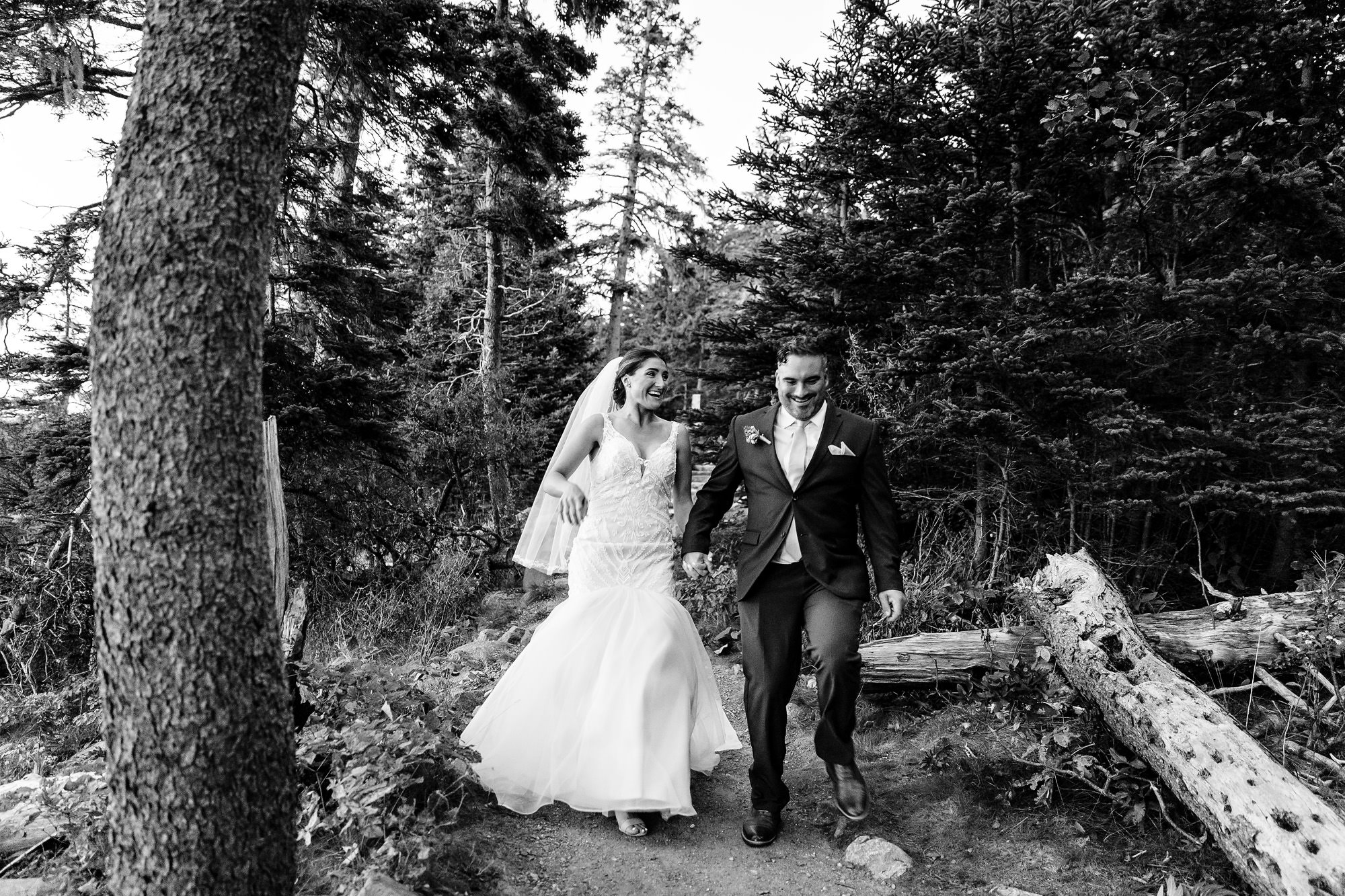 Creative wedding portraits in Acadia National Park