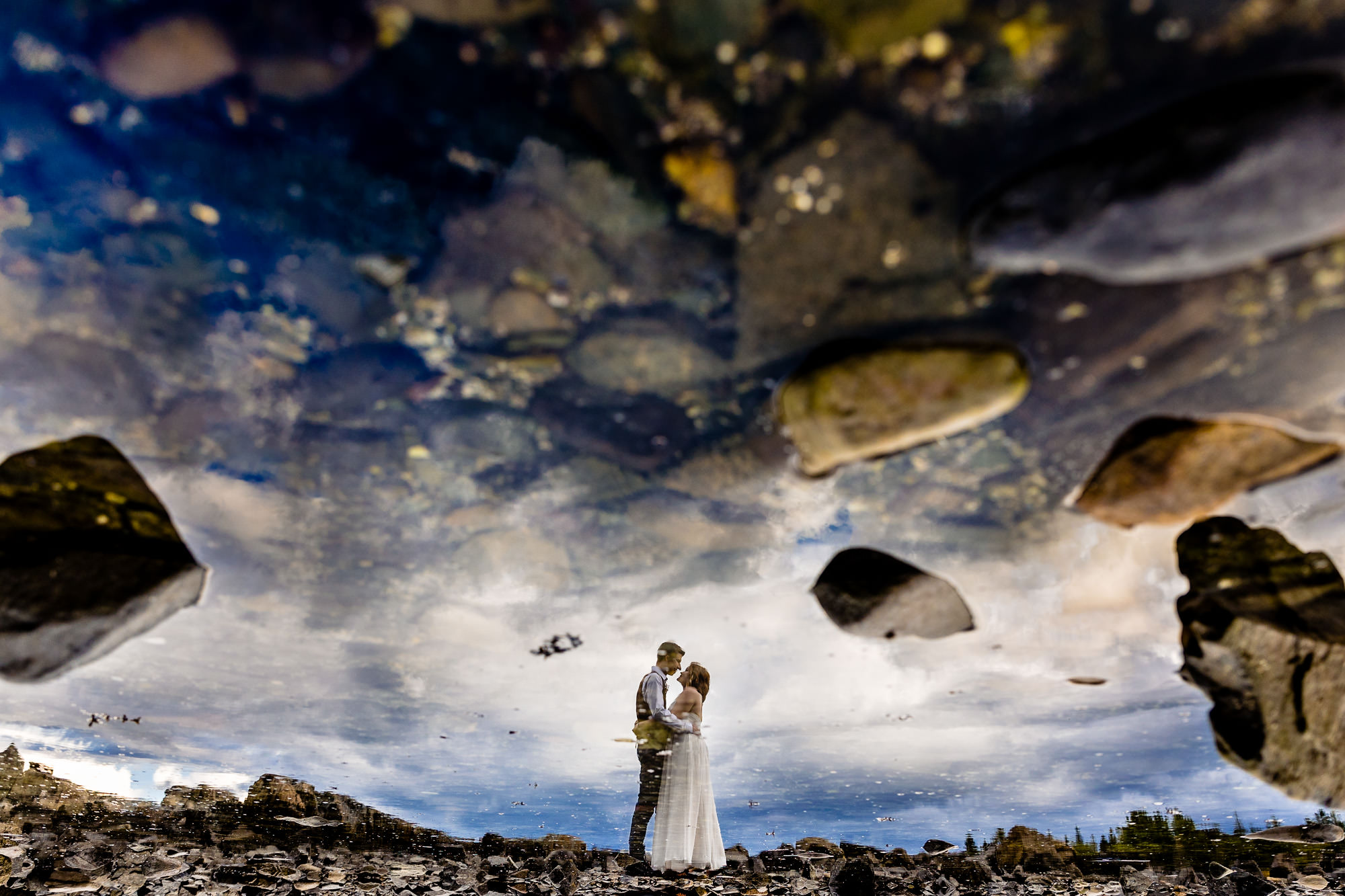 Abstract wedding portraits in Acadia national Park