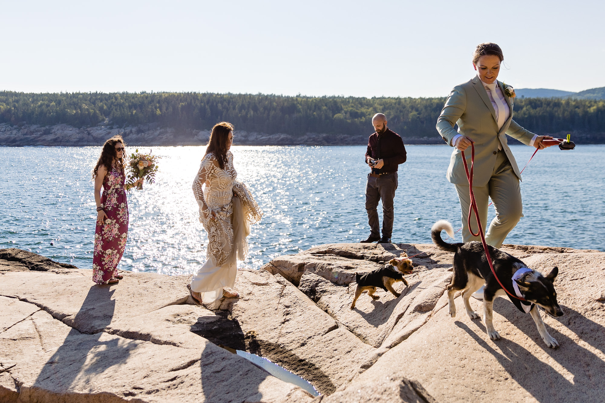 The two brides take some dramatic portraits on the cliffs of Acadia