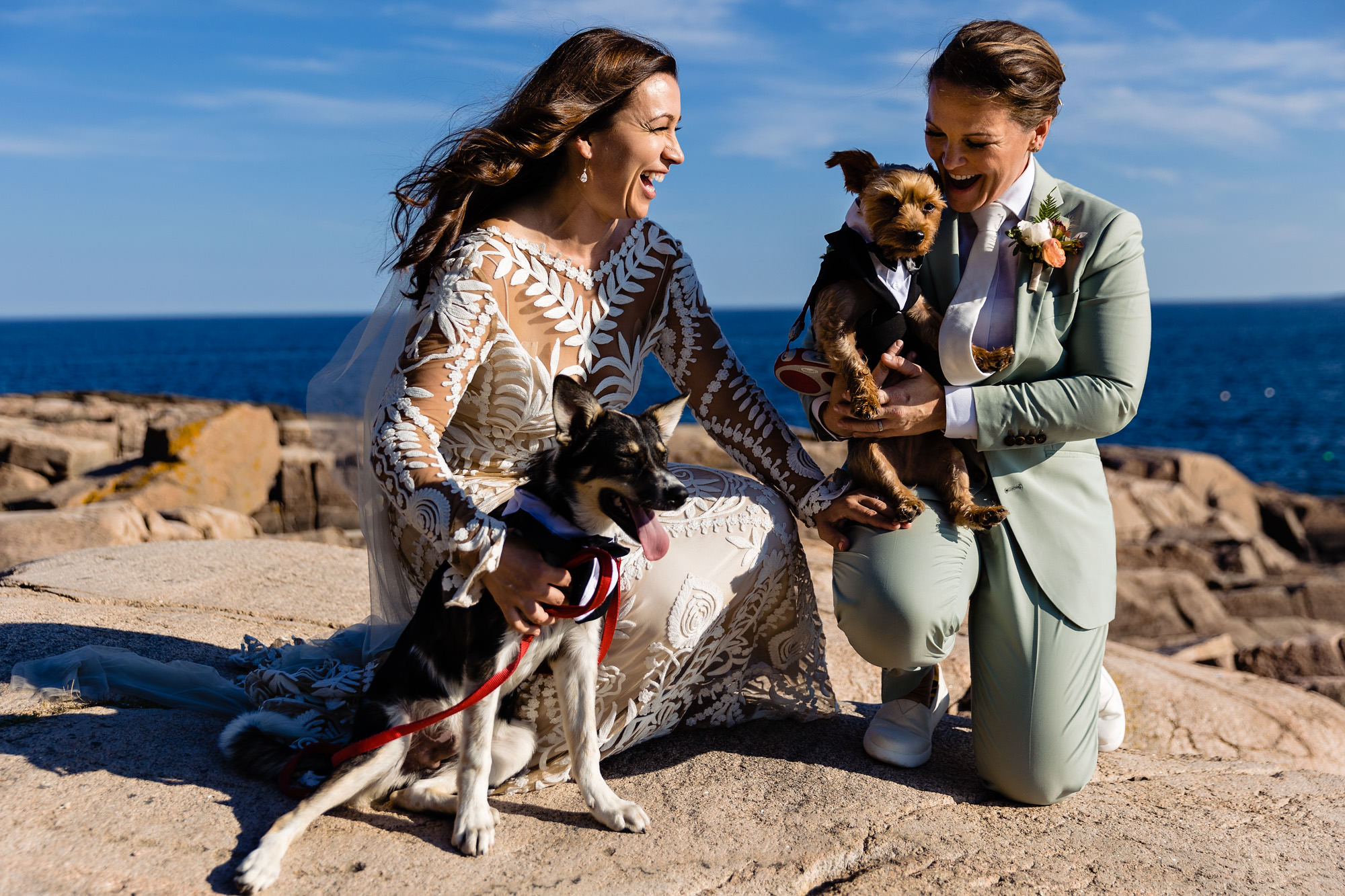 The two brides take some dramatic portraits on the cliffs of Acadia