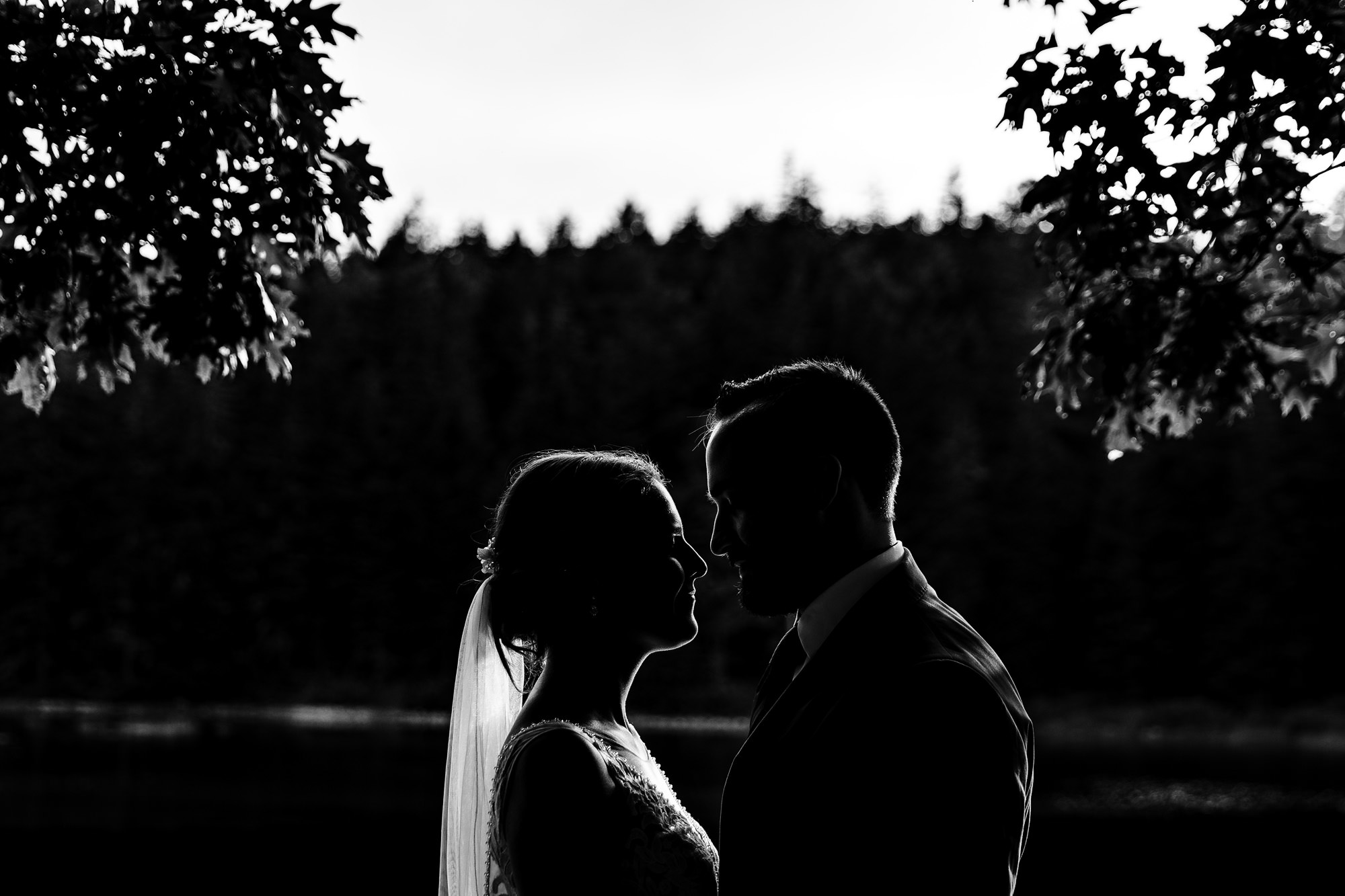 Stunning elopement portraits at a pond in Acadia National Park