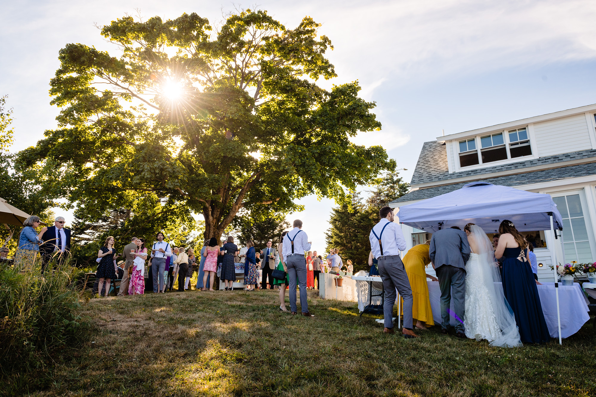 A cocktail hour at a Maine island wedding