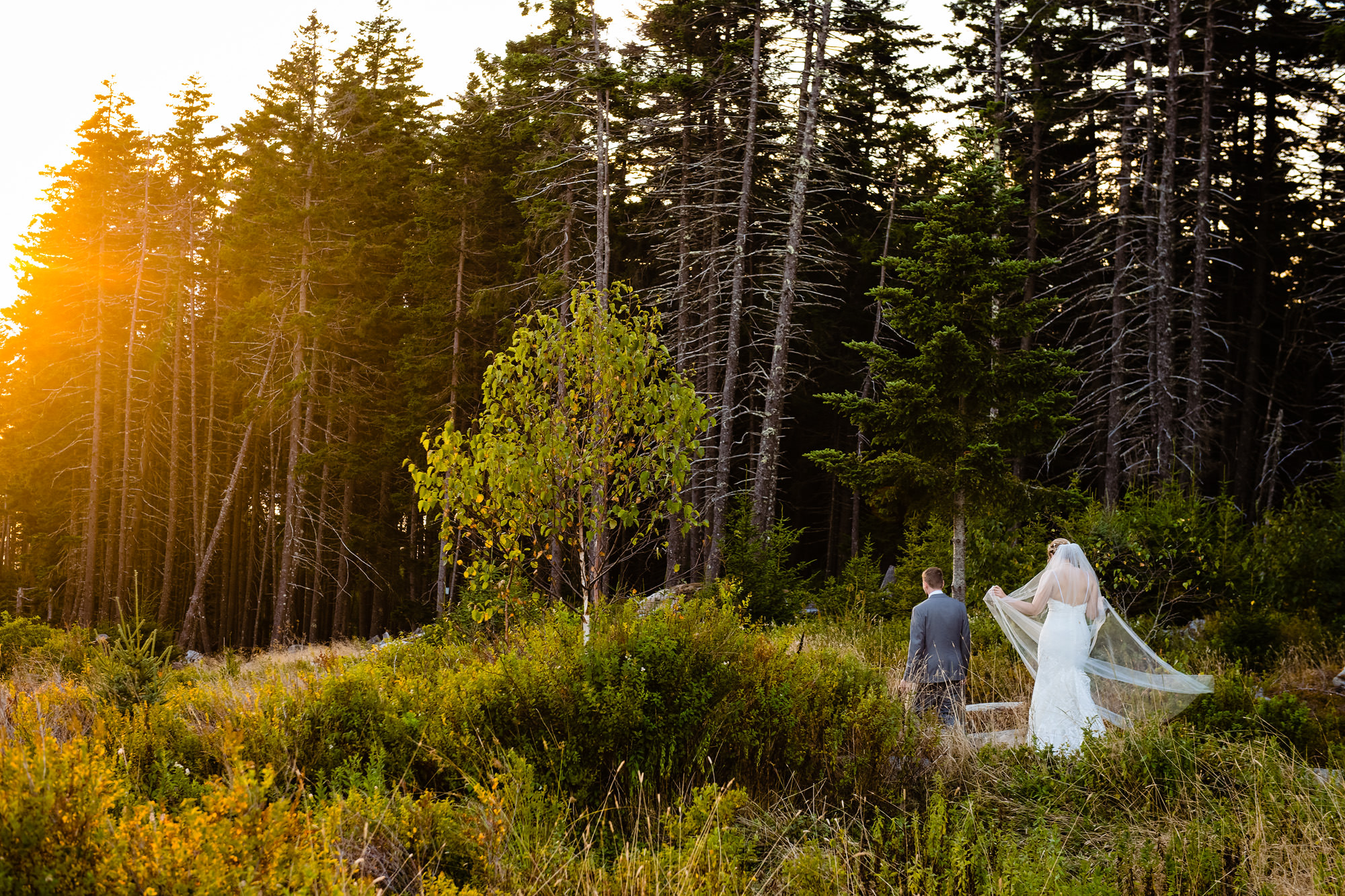 Sunset portraits at a wedding on Swan's Island, Maine