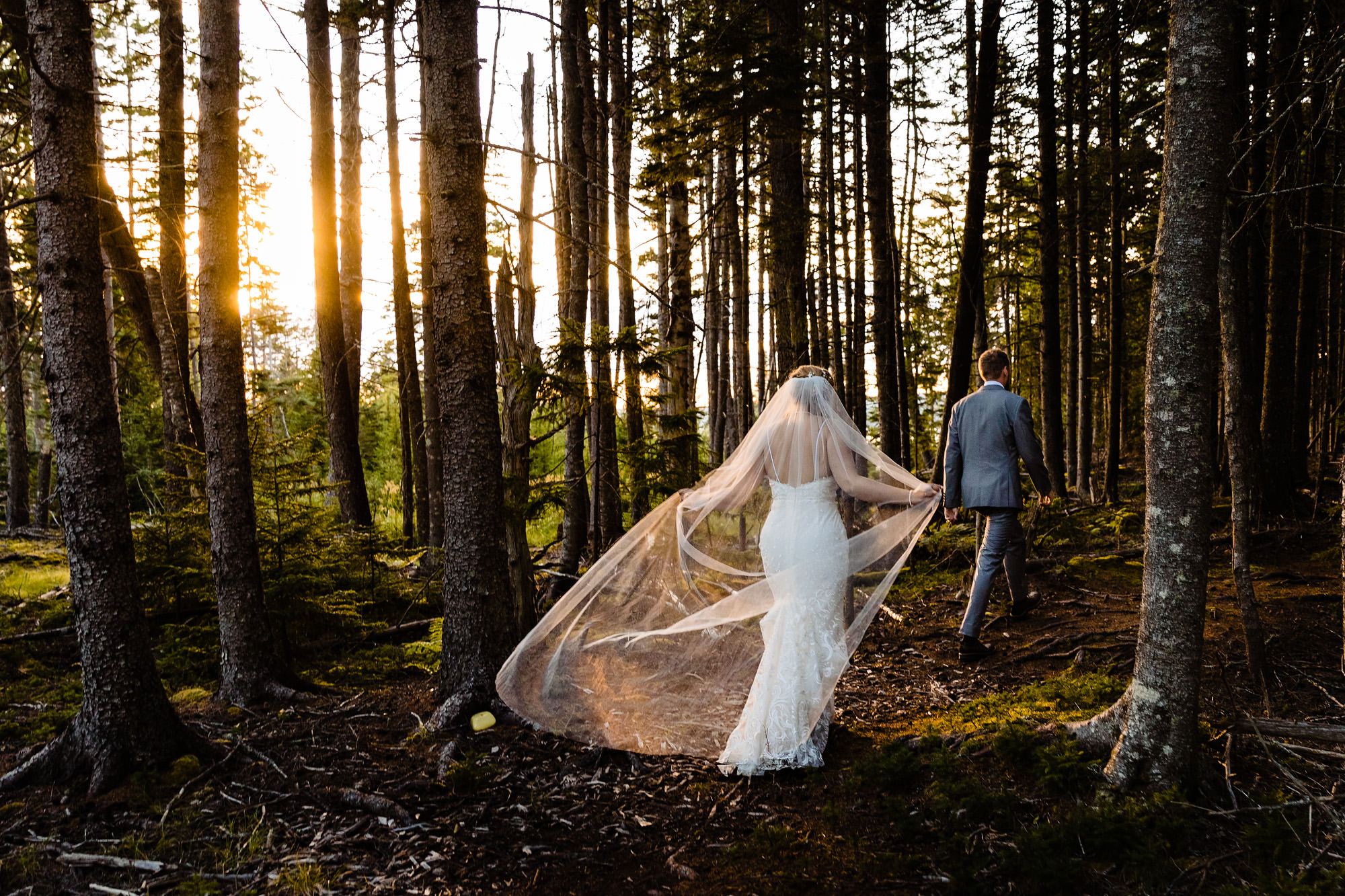 Sunset portraits at a wedding on Swan's Island, Maine