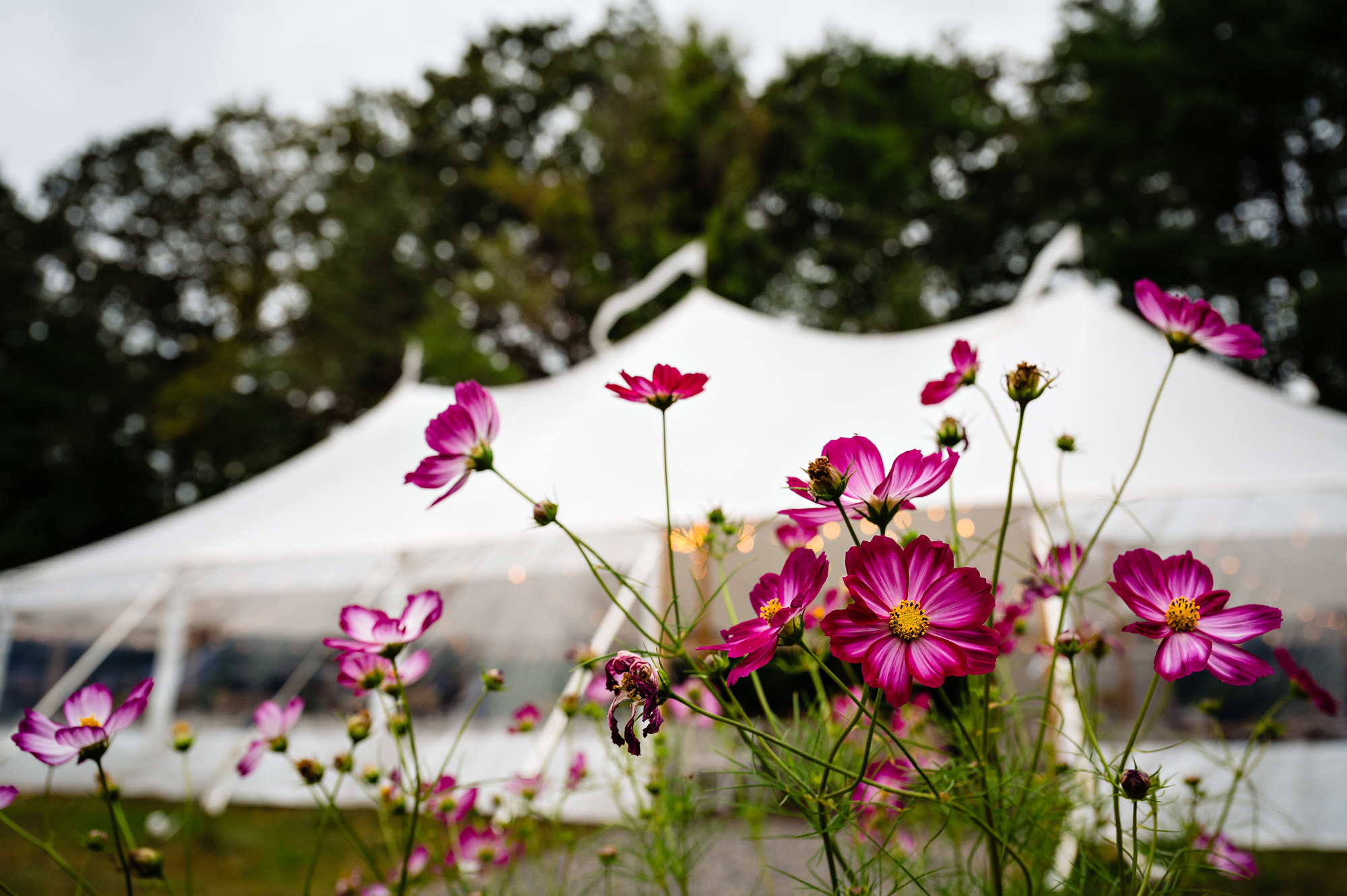 A wedding cocktail hour in Cape Neddick, Maine